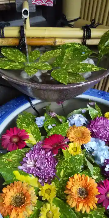 多賀神社の手水舎