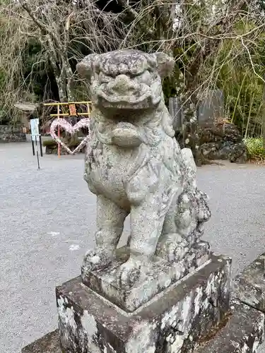 伊豆山神社の狛犬