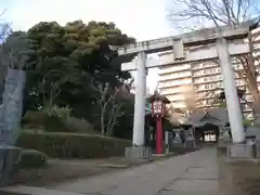 江古田氷川神社(東京都)