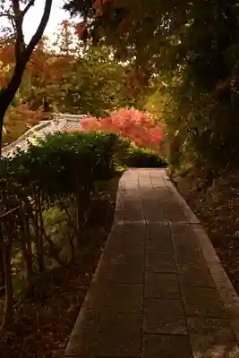 十輪寺(京都府)