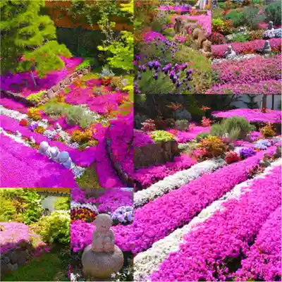 寿量山 速成寺(奈良県)