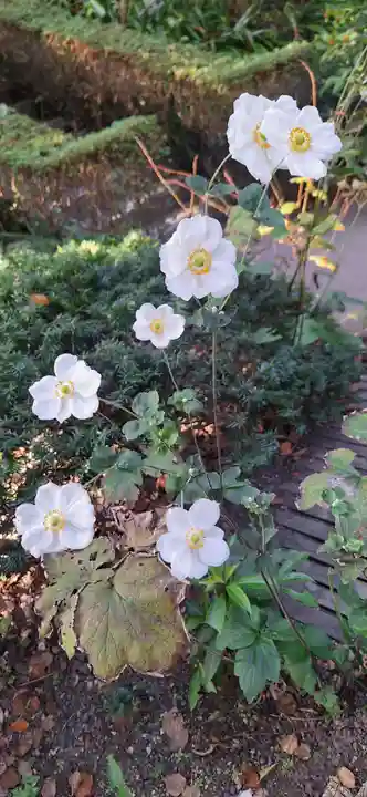 荏柄天神社(神奈川県)