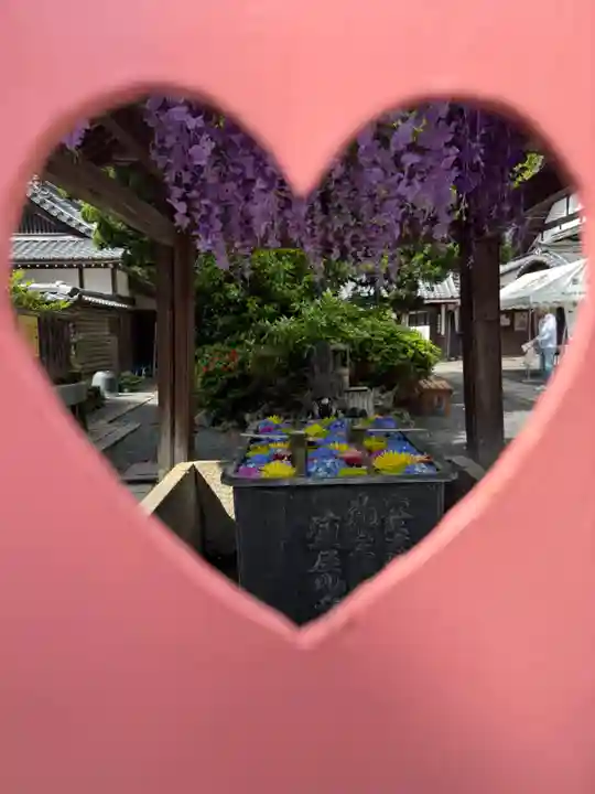 柳谷観音 楊谷寺(京都府)