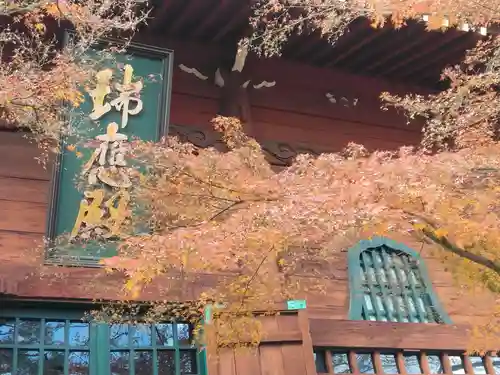 養玉院如来寺(東京都)