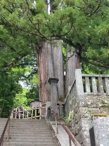 戸隠神社中社(長野県)
