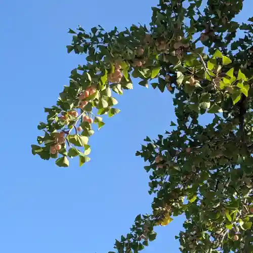 忌宮神社(山口県)