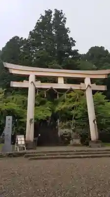戸隠神社中社の鳥居