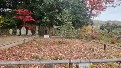 白毫寺(奈良県)