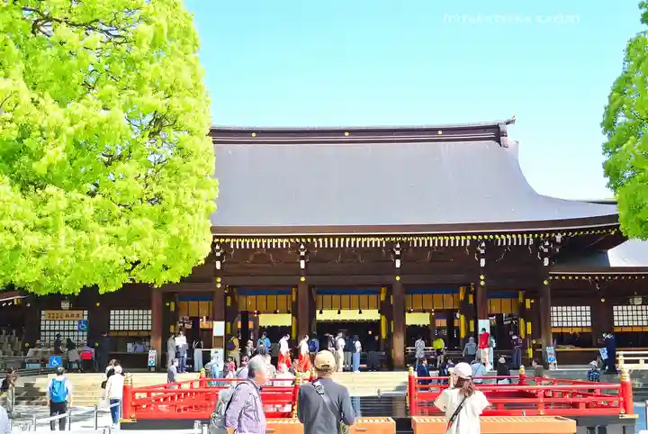 明治神宮(東京都)
