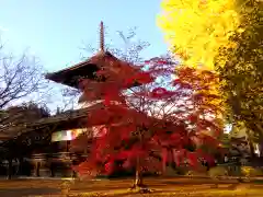 鑁阿寺の建物その他