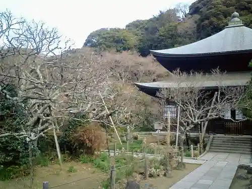 瑞泉寺の本殿・本堂