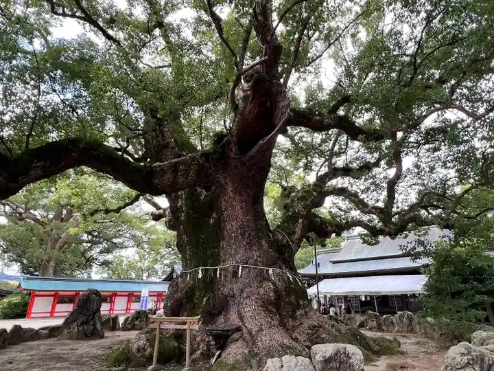 宇美八幡宮(福岡県)