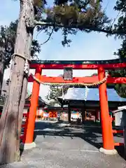 吉田神社の鳥居