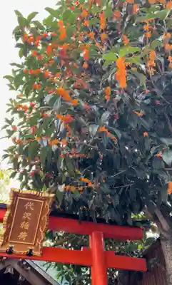 代沢稲荷(東京都)