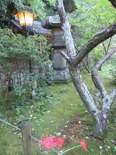 安國論寺（安国論寺）の庭園