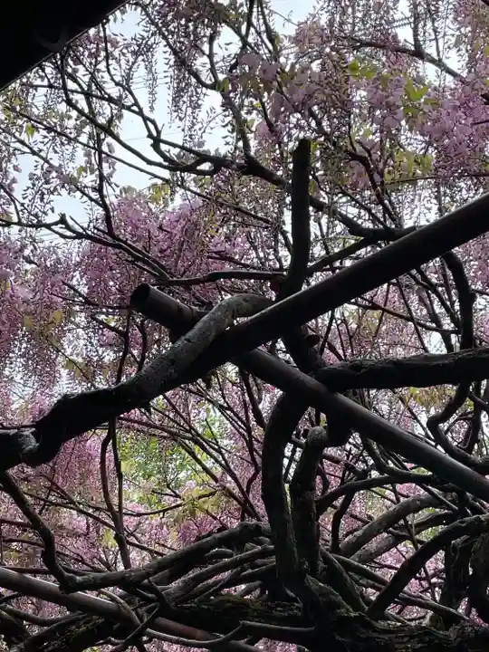 子安地蔵寺(和歌山県)