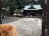 都萬神社の本殿・本堂