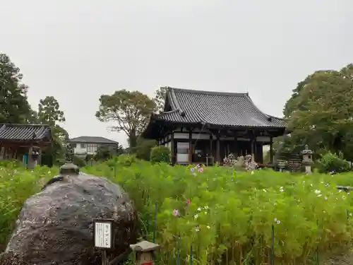 般若寺 ❁﻿コスモス寺❁のその他建物