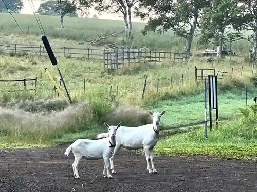 禰固岳神社(長野県)