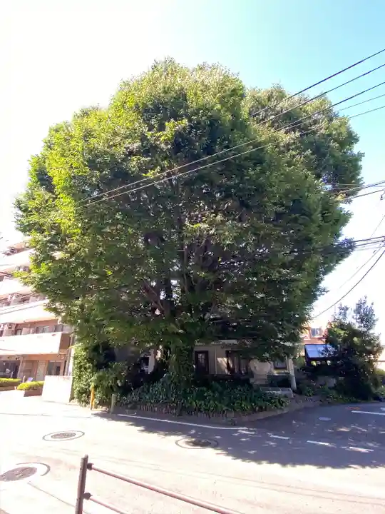 小野神社(東京都)