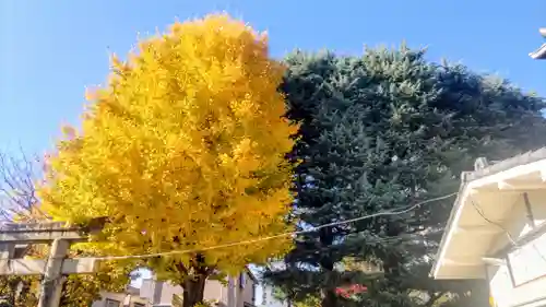 岩淵八雲神社(東京都)
