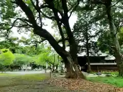 曽許乃御立神社の自然