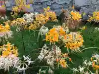 横浜 西方寺(神奈川県)