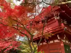 本土寺(千葉県)