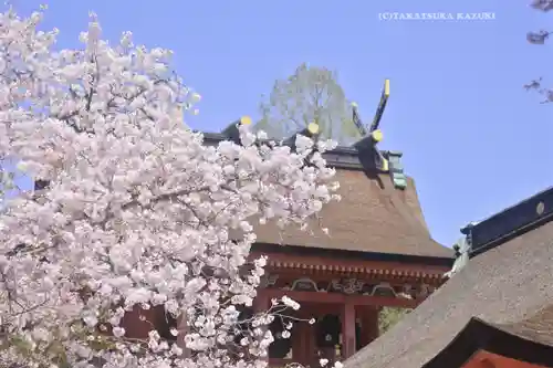 富士山本宮浅間大社(静岡県)
