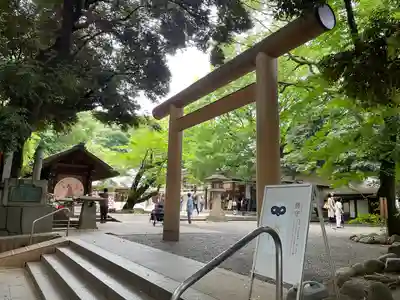 乃木神社の鳥居