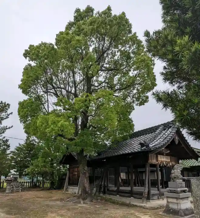 神明社(金柳町)の{uncategorized: "未分類", other: "その他", undefined: "問題あり", building: "その他建物", grave: "お墓", sacred_gate: "鳥居", guardian: "狛犬", statue: "像", buddha: "仏像", history: "歴史", nature: "自然", garden: "庭園", animal: "動物", pagoda: "塔", temizu: "手水舎", mountain_gate: "山門・神門", sanctuary: "本殿・本堂", subordinate: "末社・摂社", art: "芸術", scenery: "景色", jizo: "地蔵", ema: "絵馬", goshuin: "御朱印", omikuji: "おみくじ", items: "授与品その他", amulet: "お守り", goshuincho: "御朱印帳", eats: "食事", festival: "お祭り", votive_dance: "神楽", shichigosan: "七五三参", wedding: "結婚式", experience: "体験その他", initially: "初詣", around: "周辺", anti_infection: "感染症対策"}
