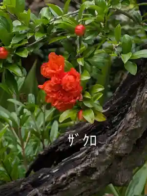 真言宗智山派金澤山福泉寺圓能院(神奈川県)