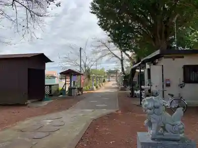 明治神社の狛犬