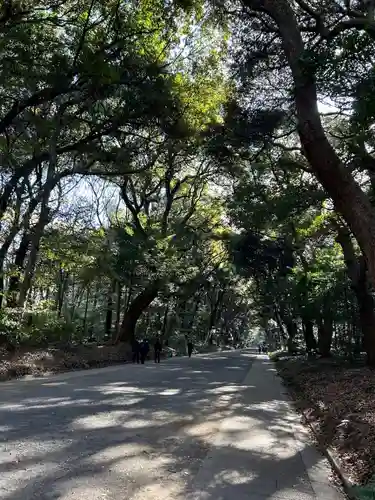 明治神宮(東京都)