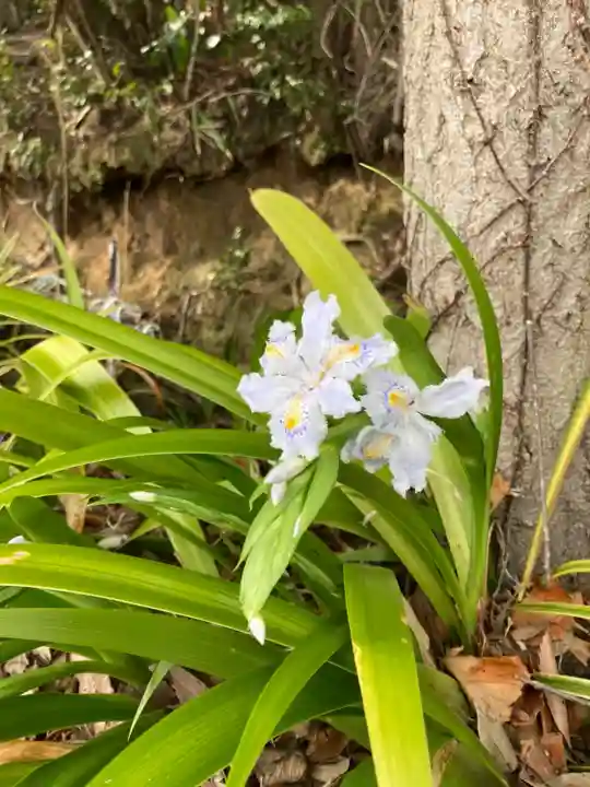日吉神社(兵庫県)