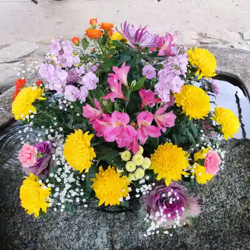 宝満宮竈門神社(福岡県)