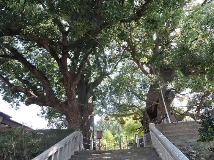 山王神社の自然