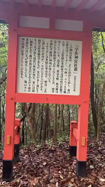 宇佐神宮(大分県)
