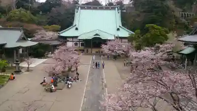 光明寺の{uncategorized: "未分類", other: "その他", undefined: "問題あり", building: "その他建物", grave: "お墓", sacred_gate: "鳥居", guardian: "狛犬", statue: "像", buddha: "仏像", history: "歴史", nature: "自然", garden: "庭園", animal: "動物", pagoda: "塔", temizu: "手水舎", mountain_gate: "山門・神門", sanctuary: "本殿・本堂", subordinate: "末社・摂社", art: "芸術", scenery: "景色", jizo: "地蔵", ema: "絵馬", goshuin: "御朱印", omikuji: "おみくじ", items: "授与品その他", amulet: "お守り", goshuincho: "御朱印帳", eats: "食事", festival: "お祭り", votive_dance: "神楽", shichigosan: "七五三参", wedding: "結婚式", experience: "体験その他", initially: "初詣", around: "周辺", anti_infection: "感染症対策"}
