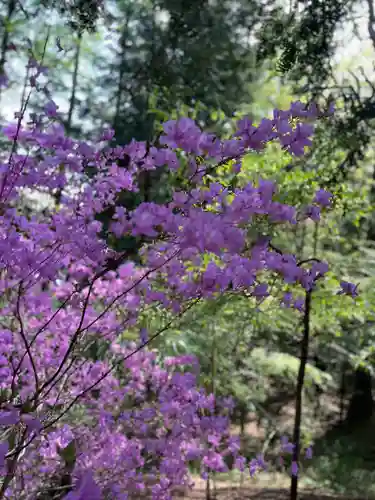 大塚丘(山梨県)