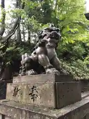 日枝神社の狛犬