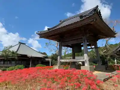 妙満寺のその他建物