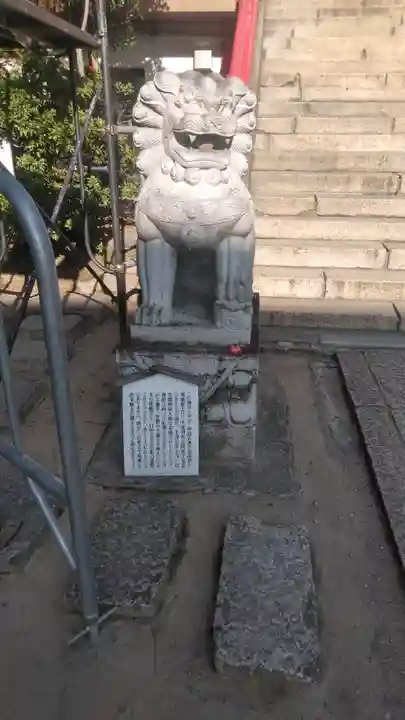 赤間神宮の狛犬