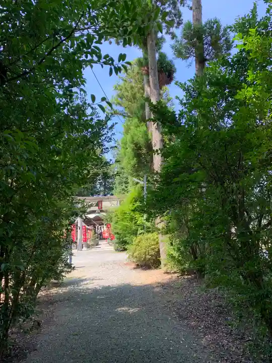 男山八幡神社の自然