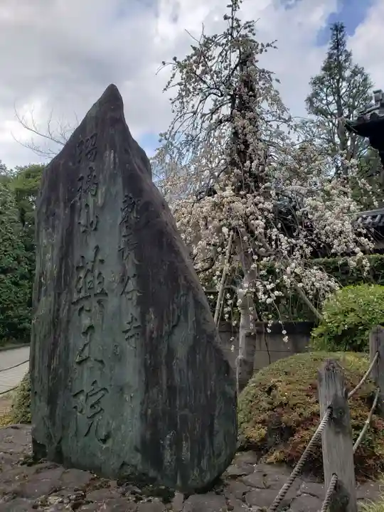 東長谷寺 薬王院(東京都)