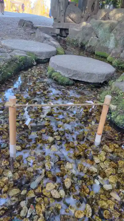 川越氷川神社(埼玉県)