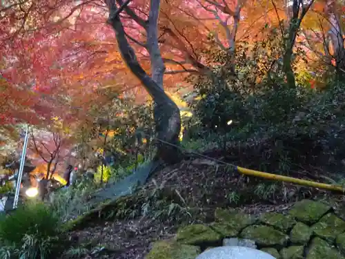 大山寺の自然