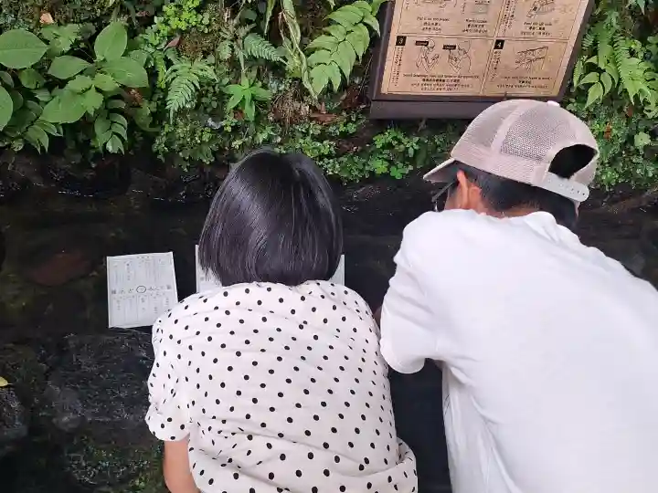 貴船神社の{uncategorized: "未分類", other: "その他", undefined: "問題あり", building: "その他建物", grave: "お墓", sacred_gate: "鳥居", guardian: "狛犬", statue: "像", buddha: "仏像", history: "歴史", nature: "自然", garden: "庭園", animal: "動物", pagoda: "塔", temizu: "手水舎", mountain_gate: "山門・神門", sanctuary: "本殿・本堂", subordinate: "末社・摂社", art: "芸術", scenery: "景色", jizo: "地蔵", ema: "絵馬", goshuin: "御朱印", omikuji: "おみくじ", items: "授与品その他", amulet: "お守り", goshuincho: "御朱印帳", eats: "食事", festival: "お祭り", votive_dance: "神楽", shichigosan: "七五三参", wedding: "結婚式", experience: "体験その他", initially: "初詣", around: "周辺", anti_infection: "感染症対策"}