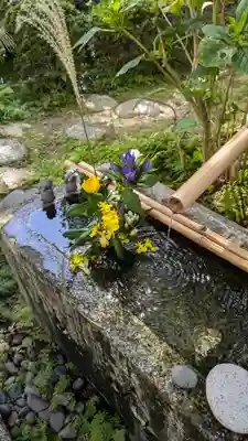 宝蔵寺(京都府)