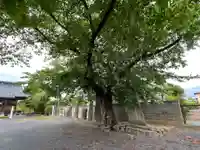 三方島神社(宮城県)